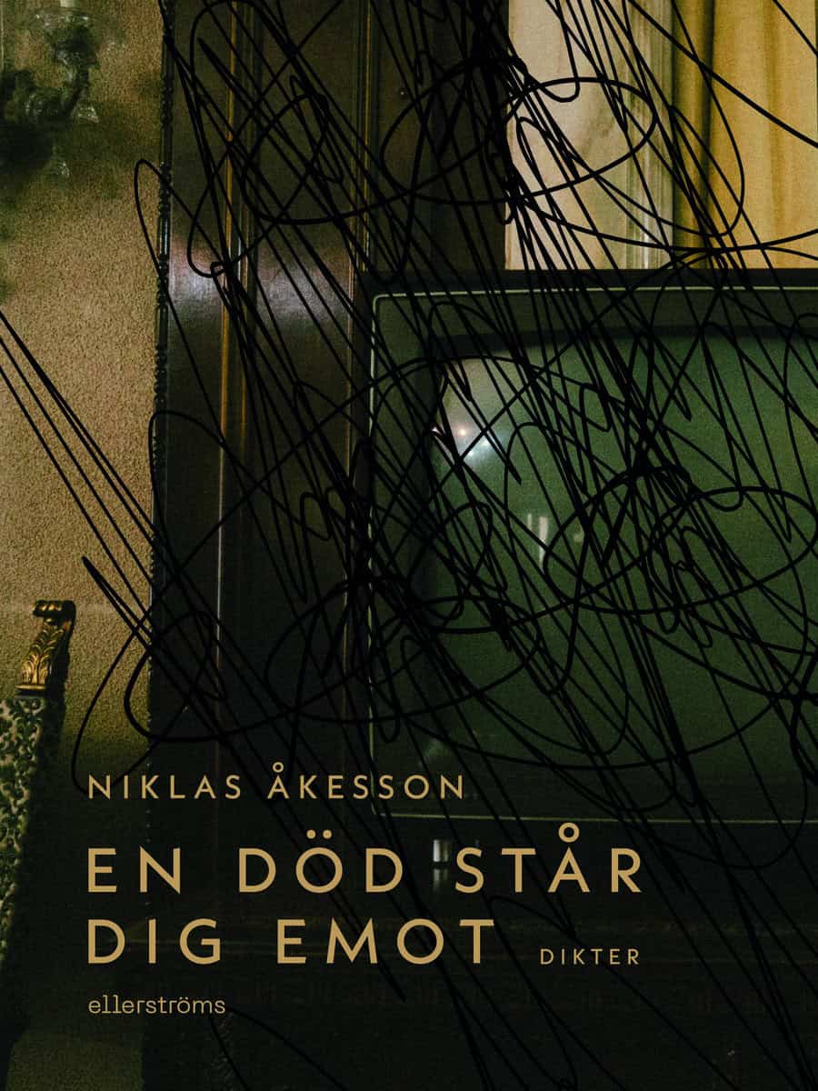 Niklas Åkesson : En död står dig emot