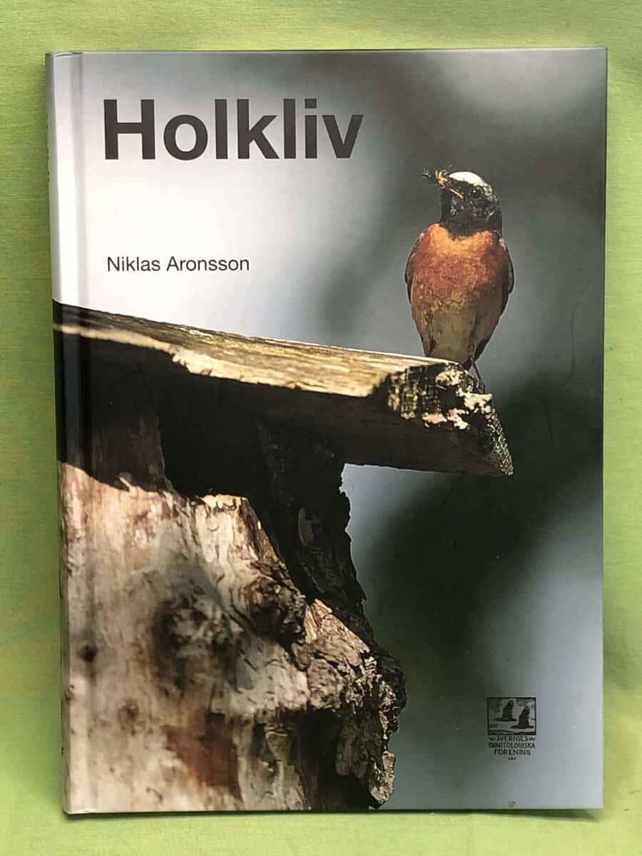 Niklas Aronsson : Holkliv