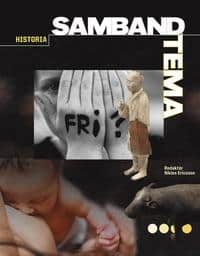 Niklas Ericsson : Samband Historia Tema