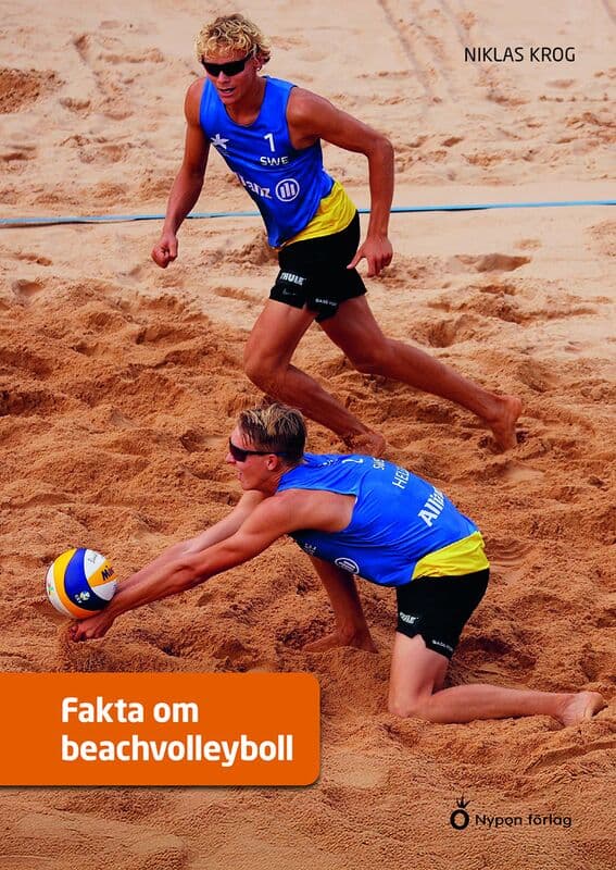 Niklas Krog : Fakta om beachvolleyboll
