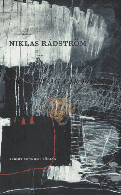 Niklas Rådström : Då, när jag var poet