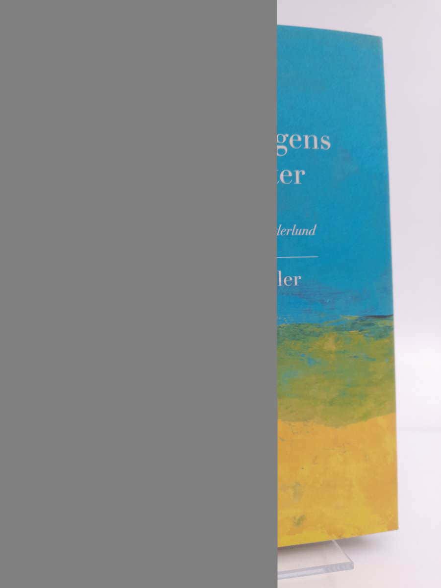 Niklas Schiöler : Begränsningens möjligheter