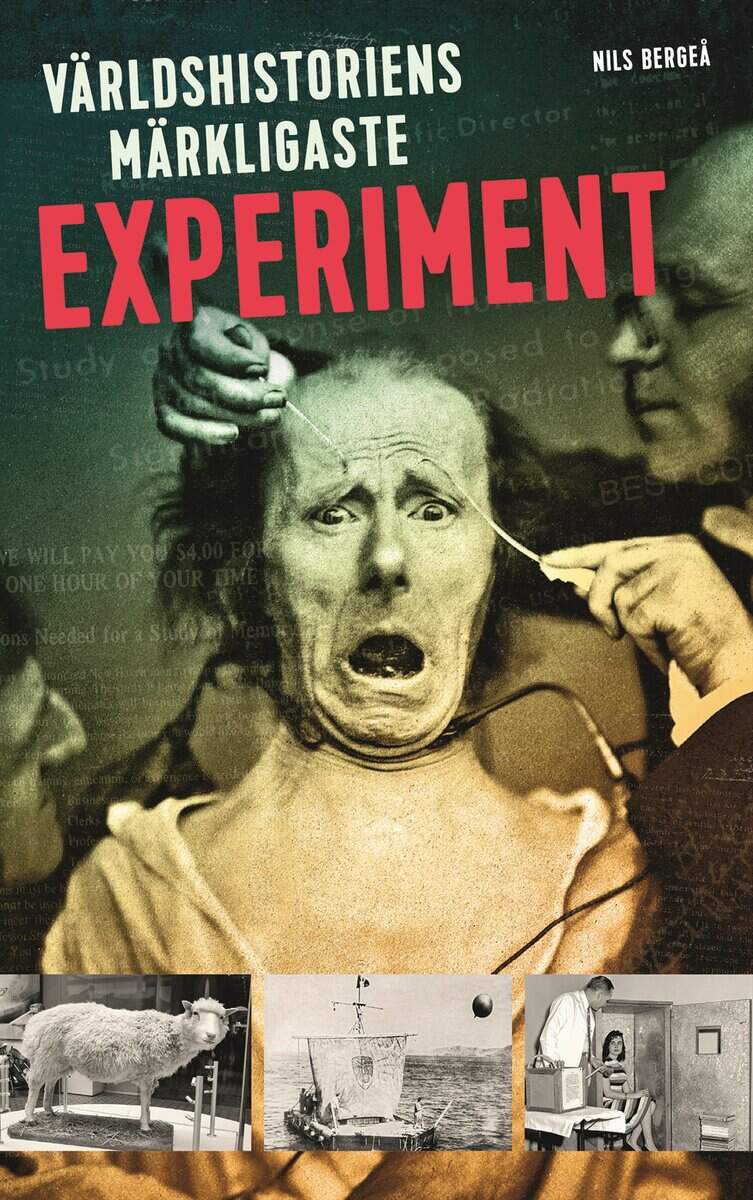 Nils Bergeå : Världshistoriens märkligaste experiment