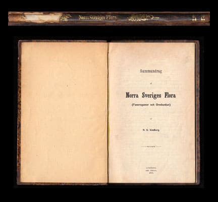 Nils Conrad Kindberg : Sammandrag af Norra Sveriges Flora (Fanerogamer och Ormbunkar)