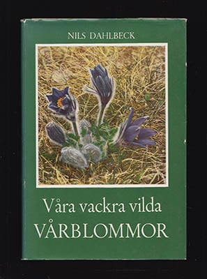 Nils Dahlbeck : Våra vackra vilda vårblommor