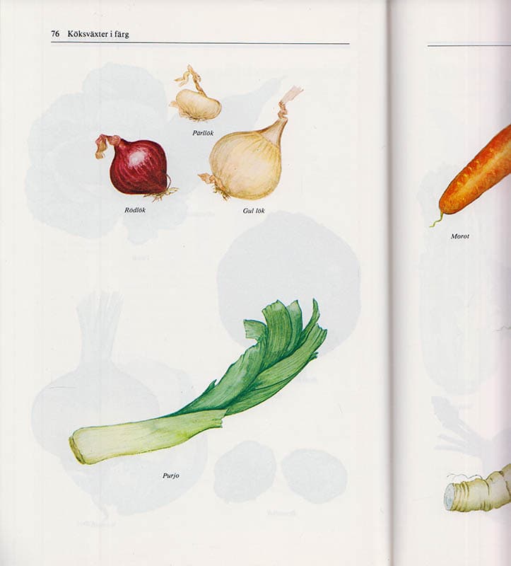 Nils-Erik Persson : Köksväxtodling på friland