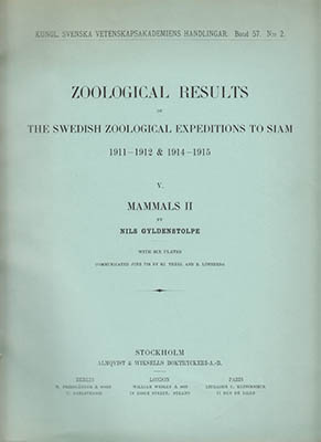 Nils Gyldenstolpe : Zoological results of the Swedish Zoological expeditions to Siam 1911-12 & 1914-1915. V. Mammals II
