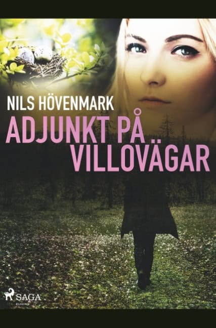 Nils Hövenmark : Adjunkt på villovägar