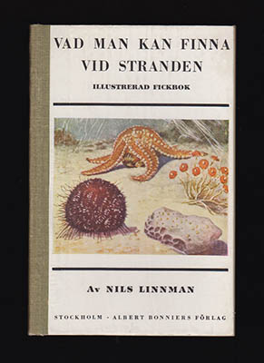 Nils Linnman : Vad man kan finna vid stranden