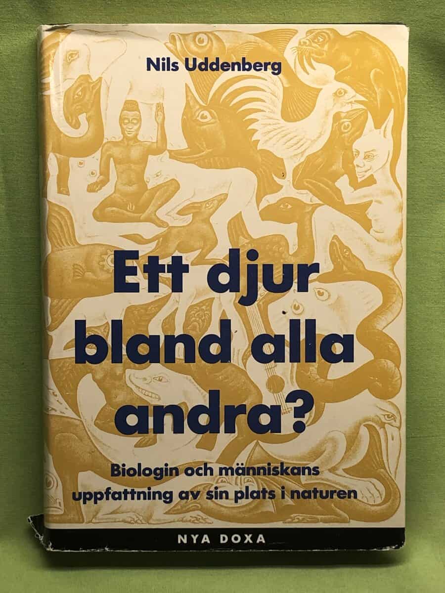 Nils Uddenberg : Ett djur bland alla andra?