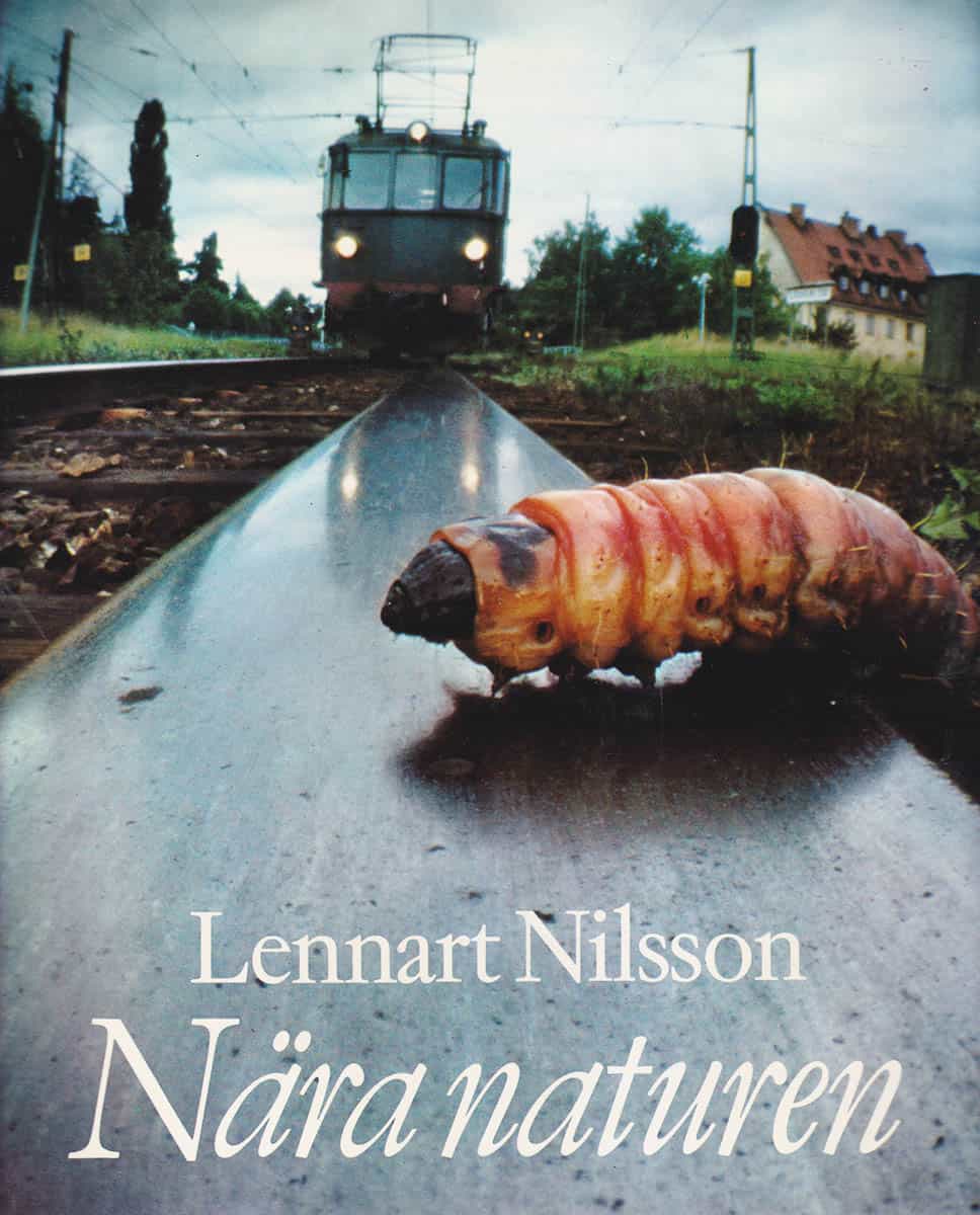 Nilsson, Lennart (1922-2017) ; Krook, Hans (1920-2004) : Nära naturen