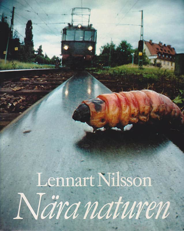 Nilsson, Lennart (1922-2017) ; Krook, Hans (1920-2004) : Nära naturen