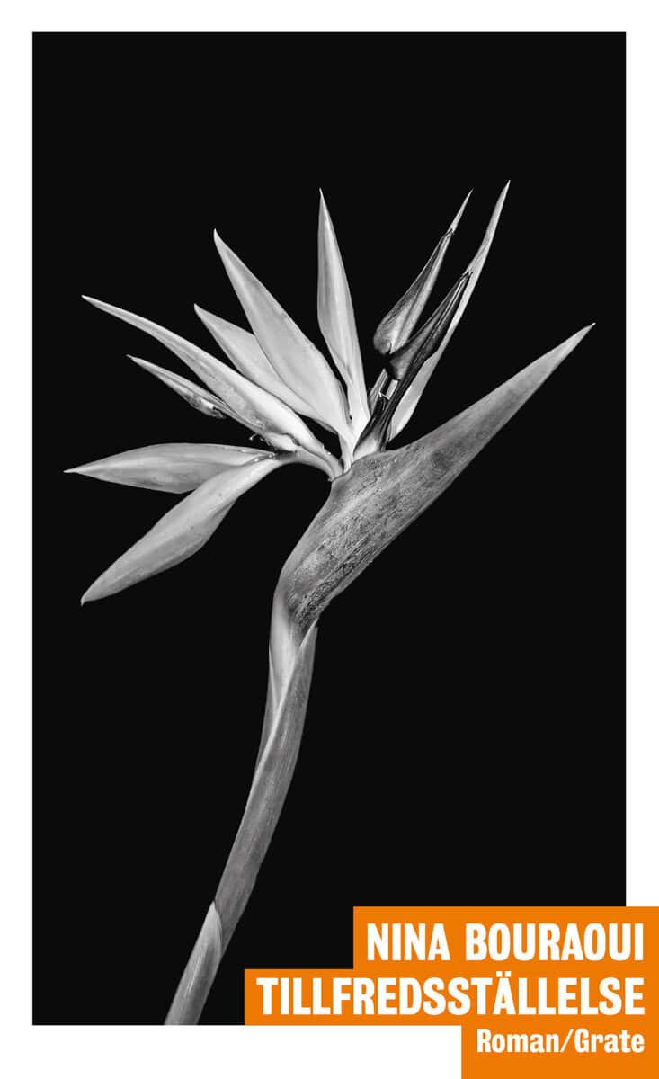 Nina Bouraoui : Tillfredsställelse