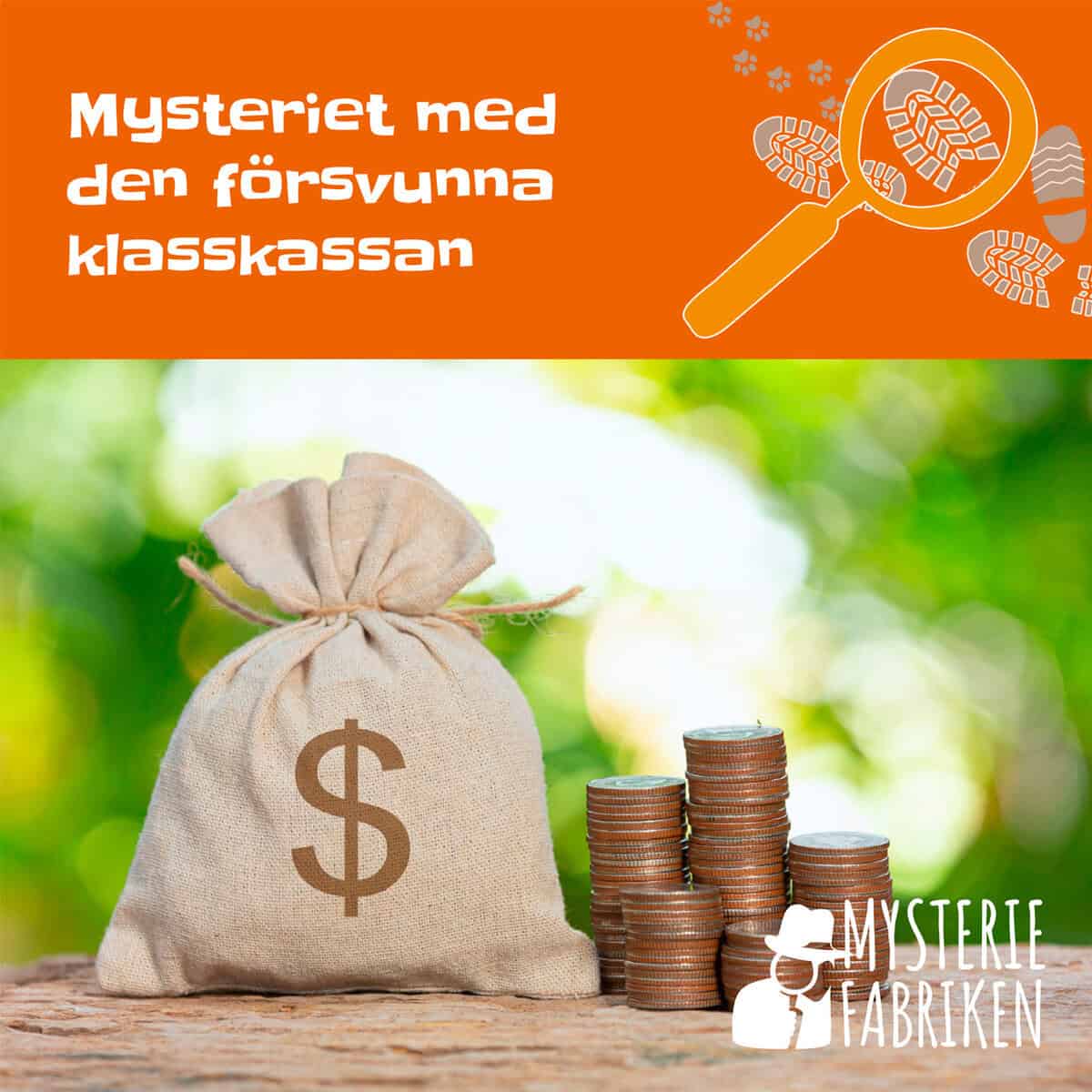 Nina Cernold : Mysteriet med den försvunna klasskassan