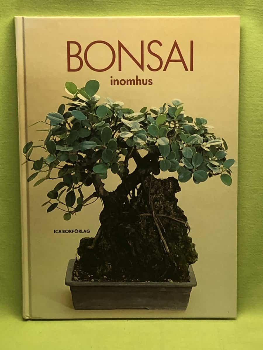 Nina Hubert : Bonsai inomhus