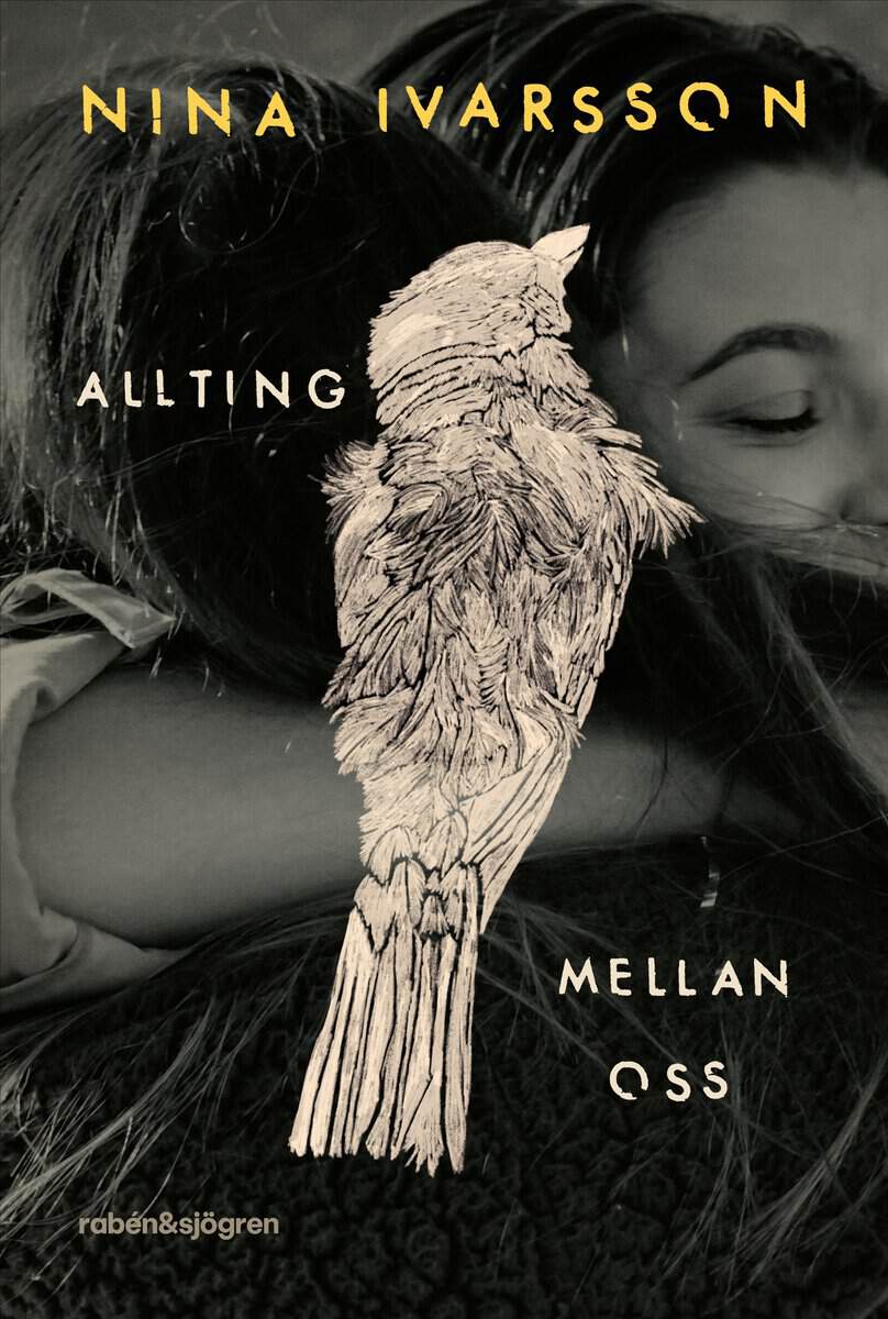 Nina Ivarsson : Allting mellan oss