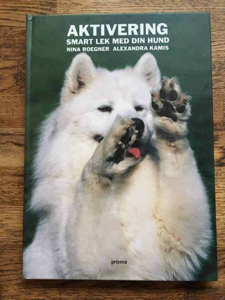 Nina Roegner : Aktivering