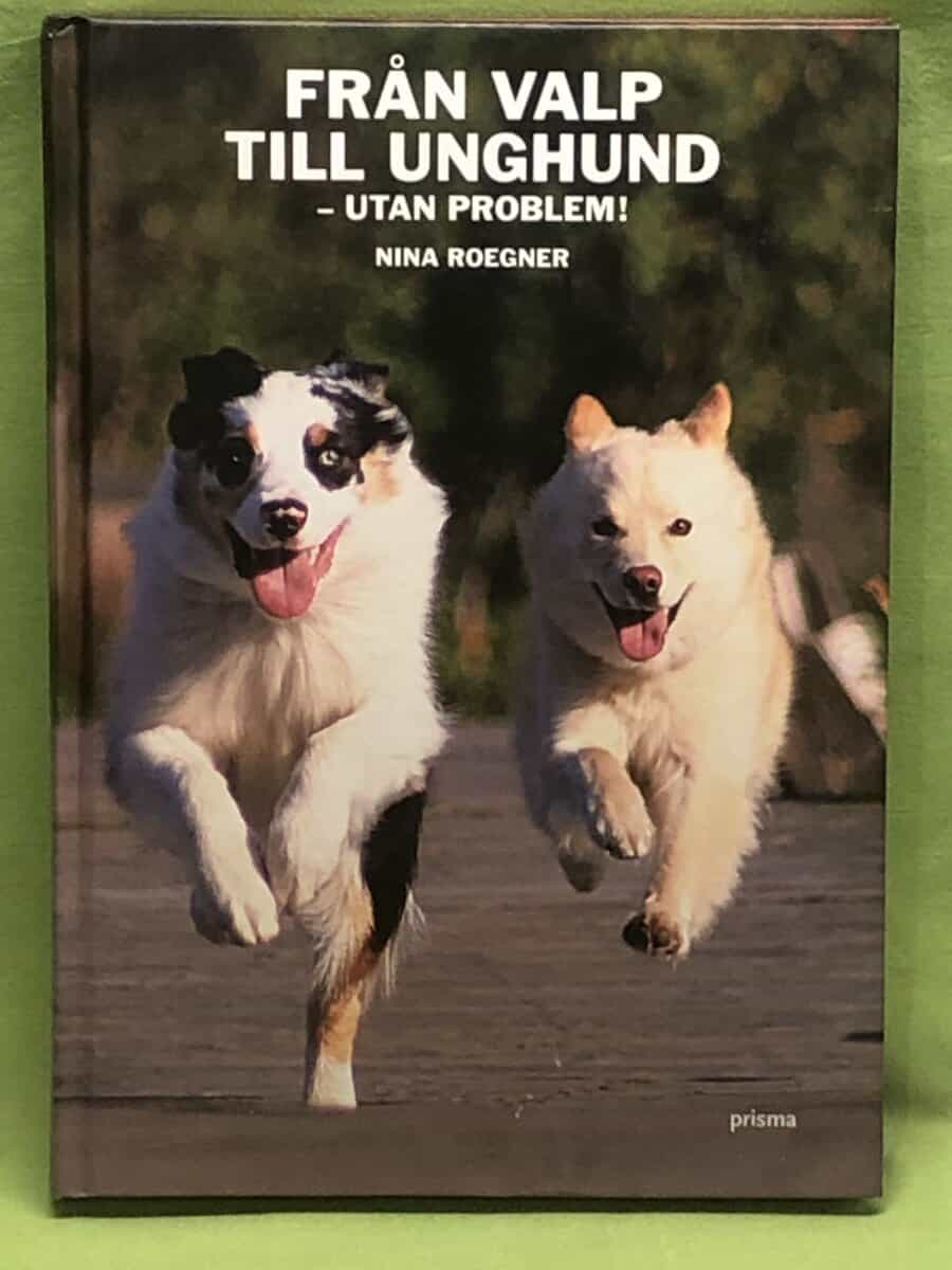 Nina Roegner : Från valp till unghund