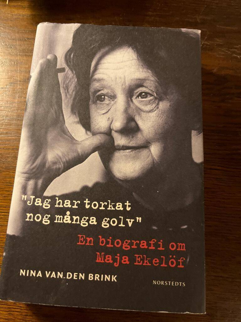 Nina van den Brink : Jag har torkat nog många golv