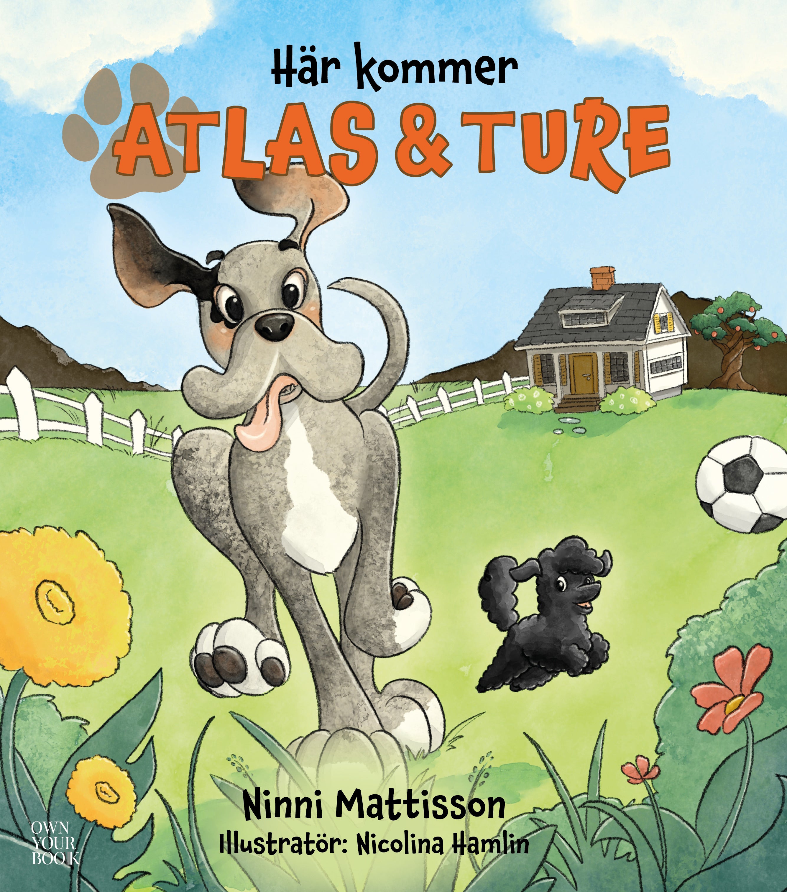 Ninni Mattisson : Här kommer Atlas och Ture
