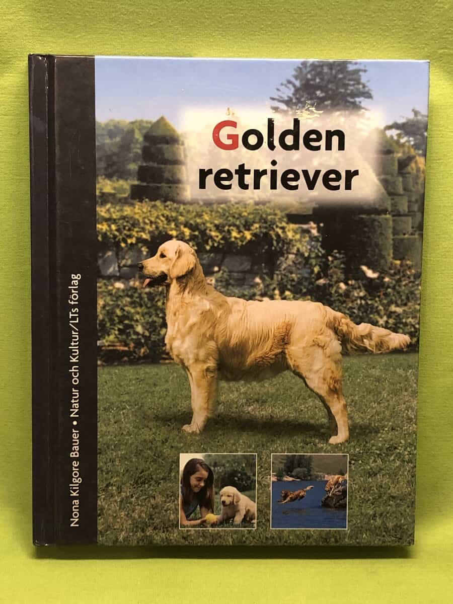 Nona Kilgore Bauer : Golden retriever