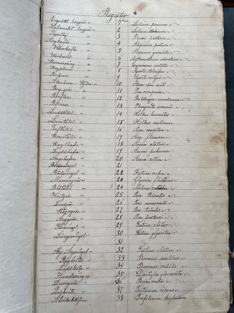 Nyberg : Äldre herbarium med 58 växter