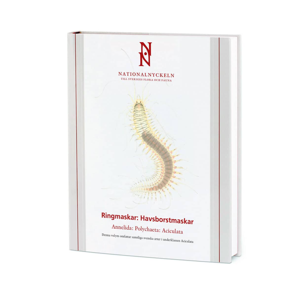 Nygren, Arne ; Pleijel, Fredrik : Ringmaskar