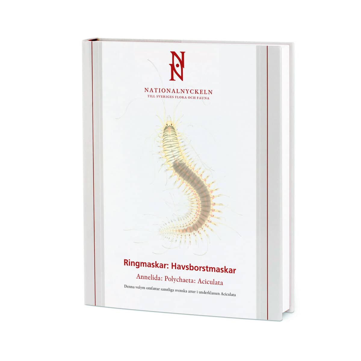 Nygren, Arne ; Pleijel, Fredrik : Ringmaskar : havsborstmaskar. Annelida : polychaeta: aciculata