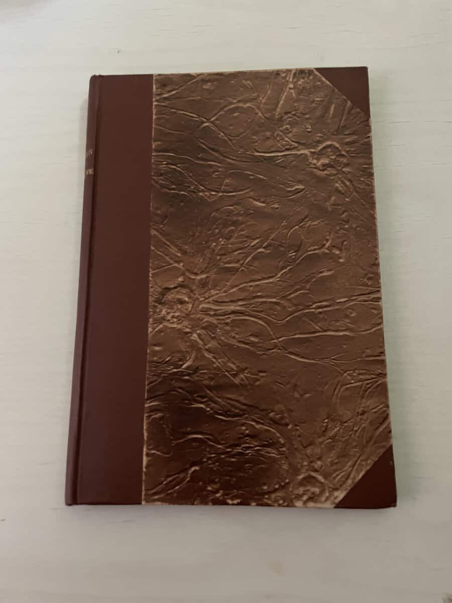 O Nielsen : Frederik IV og Slesvig en historisk fortolkning