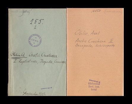 Ohlin, Axel (Axel Gabriel, 1867-1903) ; Kolthoff, G. (Gustaf, 1845-1913) : Arctic Crustacea. Collected during the Swedish Arctic Expeditions 1898, 1899 and 1900 under the direction of professor A. G. Nathorst and Mr G. Kolthoff. Del I. Leptostraca, Isopoda, Cumacea. With 6 Plates. Del II. Decapoda, Schizopoda. With 3 plates. (Komplett)