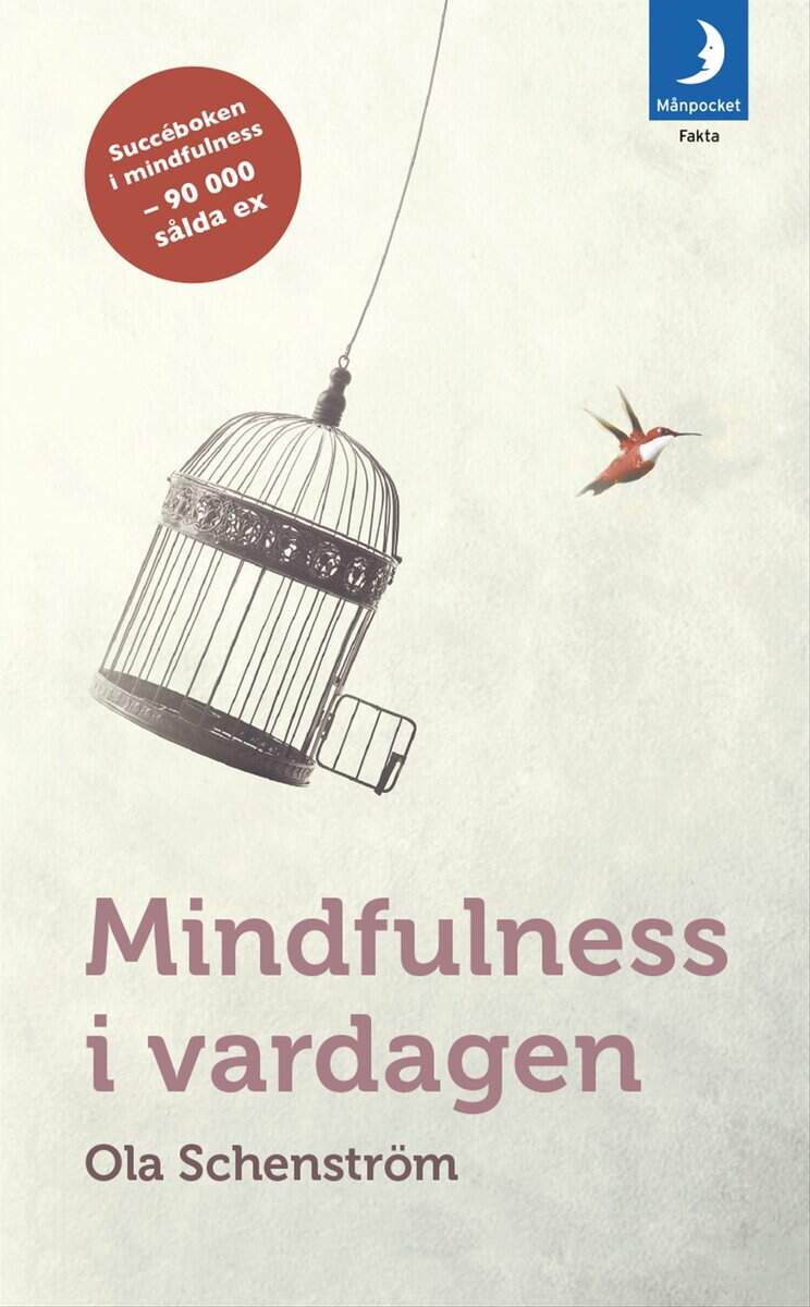 Ola Schenström : Mindfulness i vardagen