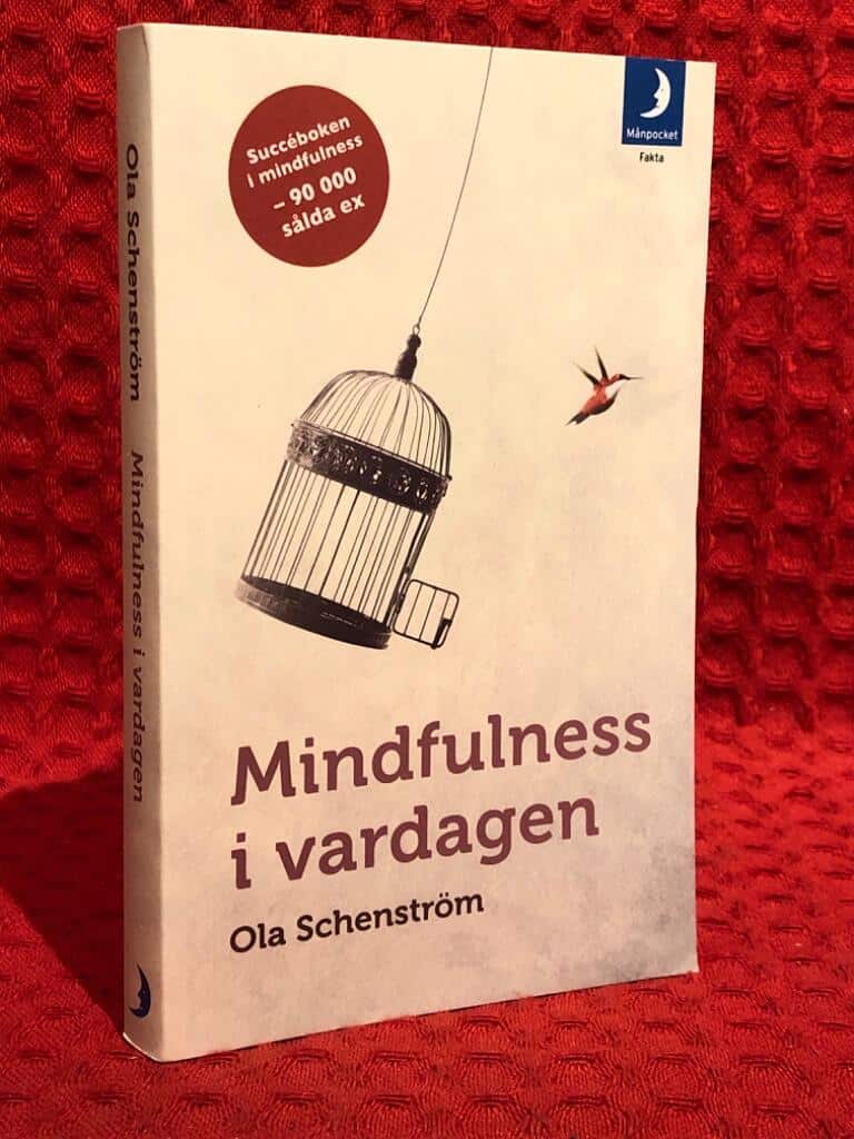 Ola Schenström : Mindfulness i vardagen