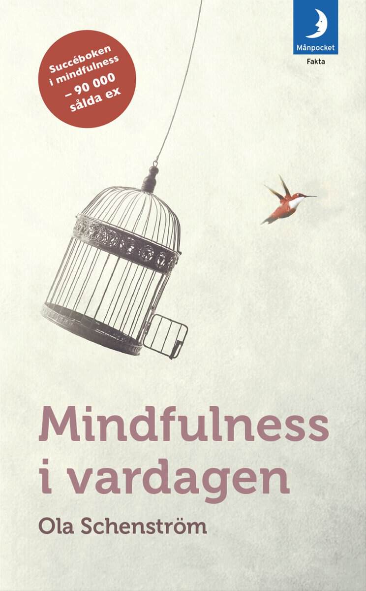Ola Schenström : Mindfulness i vardagen : Vägar till medveten närvaro