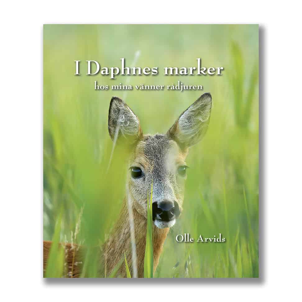 Olle Arvids : I Daphnes marker