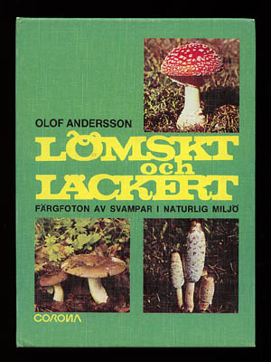 Olof Andersson : Lömskt och läckert