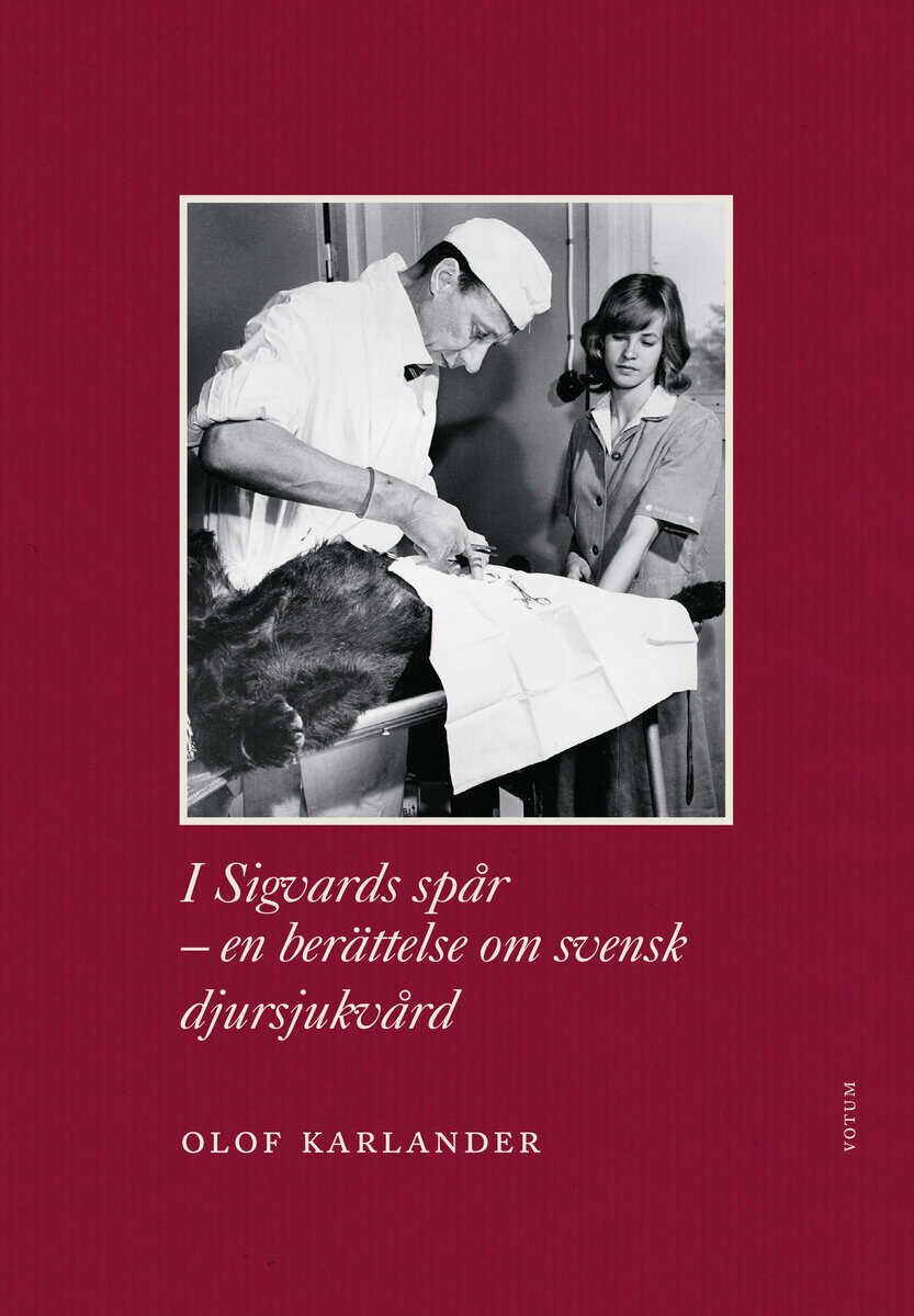 Olof Karlander : I Sigvards spår