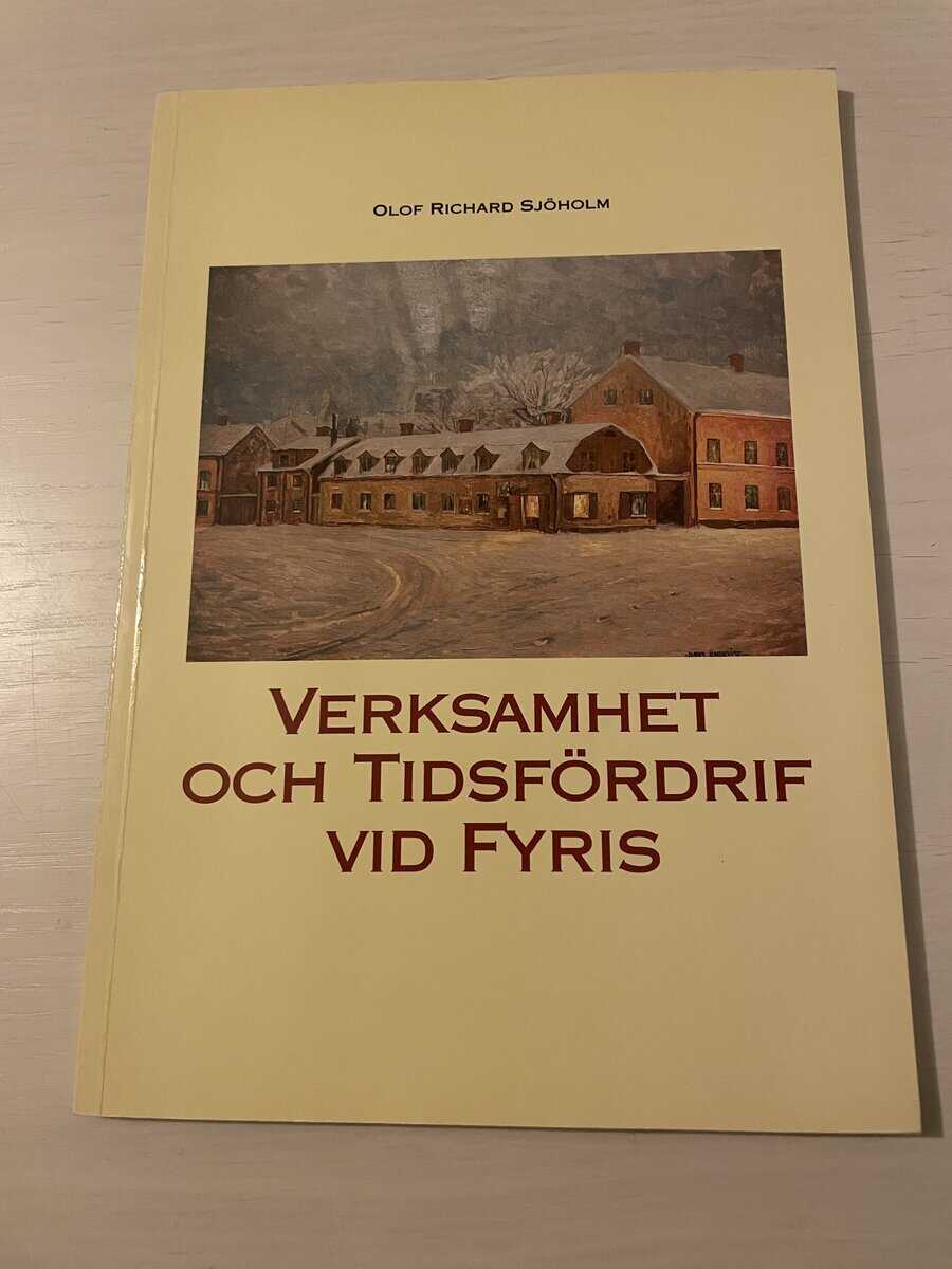 Olof Richard Sjöholm : Verksamhet och tidsfördrif vid Fyris