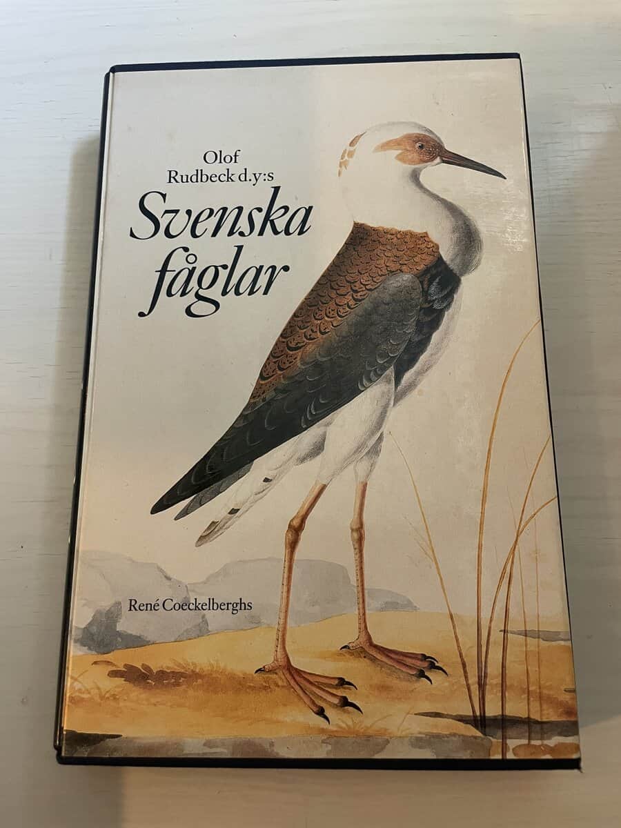 Olof Rudbeck : Olof Rudbeck d.y:s Svenska fåglar