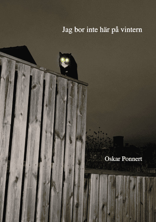 Oskar Ponnert : Jag bor inte här på vintern