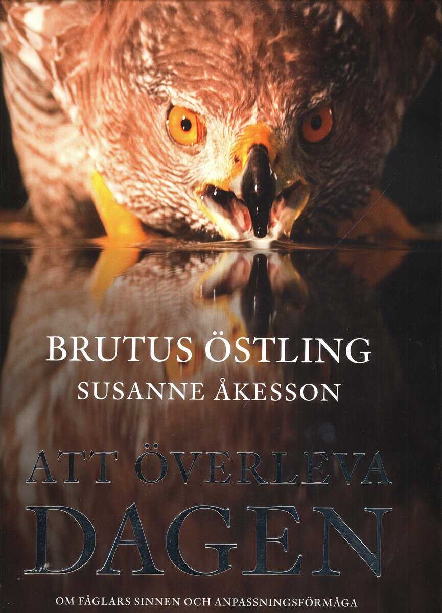 Östling, Brutus ; Åkesson, Susanne : Att överleva dagen