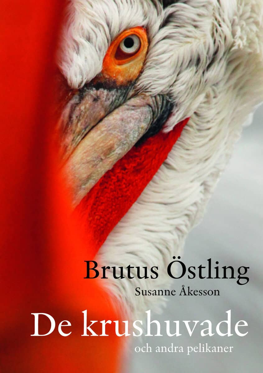 Östling, Brutus ; Åkesson, Susanne : De krushuvade : och andra pelikaner