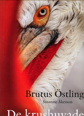 Östling, Brutus ; Åkesson, Susanne : De krushuvade och andra pelikaner