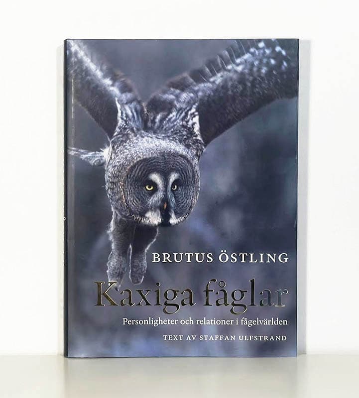 Östling, Brutus ; Ulfstrand, Staffan (1933-2023) : Kaxiga fåglar. Personligheter och relationer i fåglarnas värld