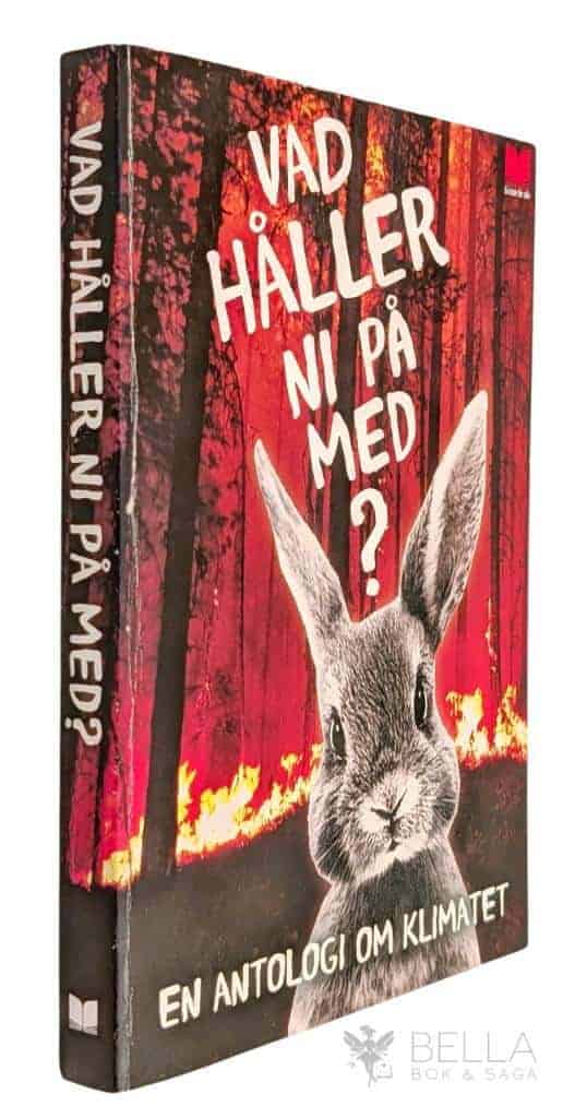 Östnäs, Elisabeth m.fl. : Vad håller ni på med?