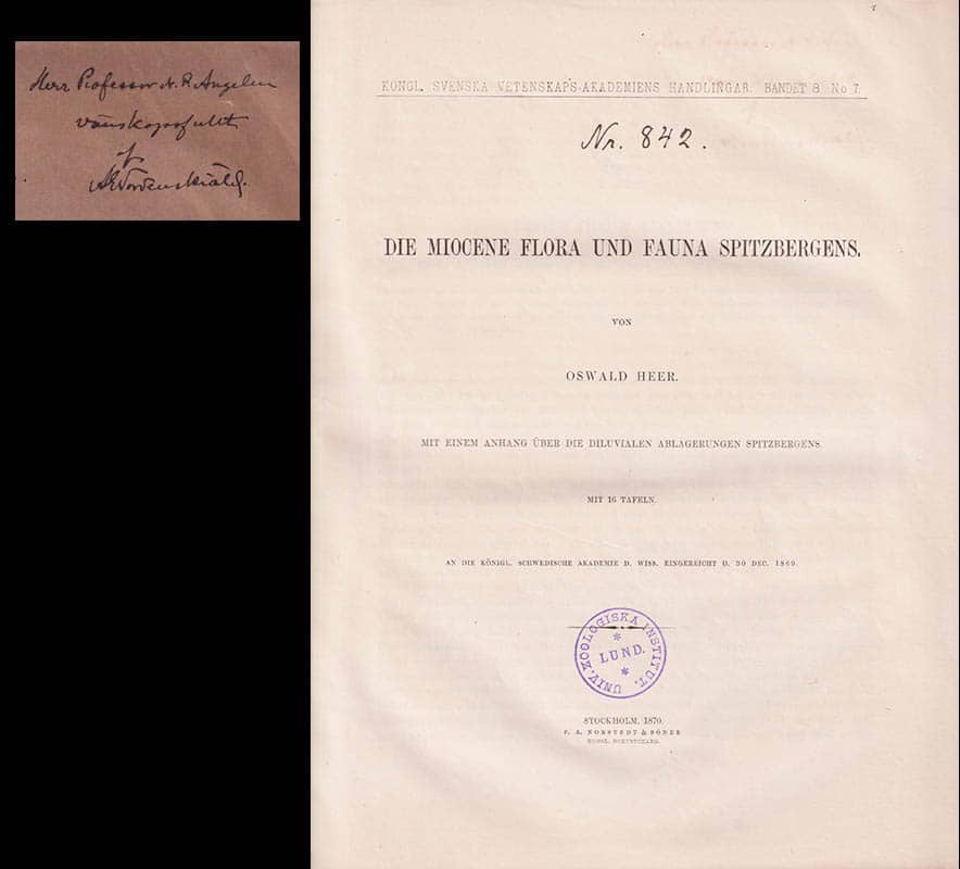 Oswald Heer : Die miocene Flora und Fauna Spitzbergens. Mit einem Anhang über die diluvialen Ablagerungen Spitzbergens. Mit 16 Tafeln