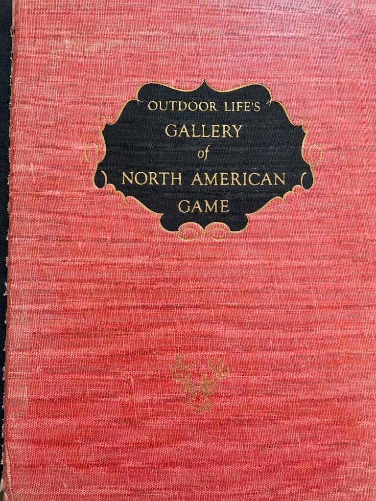 Outdoor Life's Gallery of North American Game