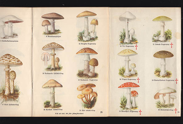 Ove Persson : Ica:s svampbok