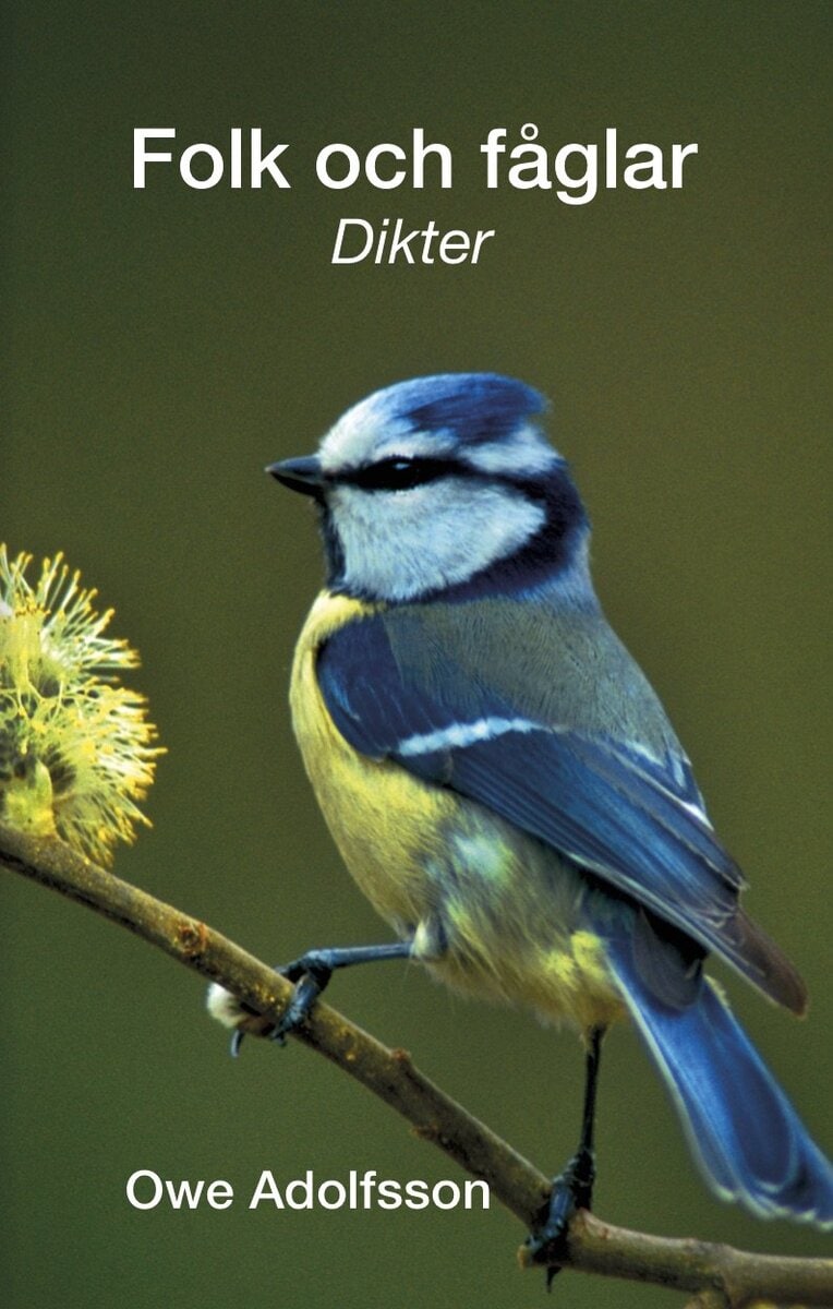 Owe Adolfsson : Folk och fåglar