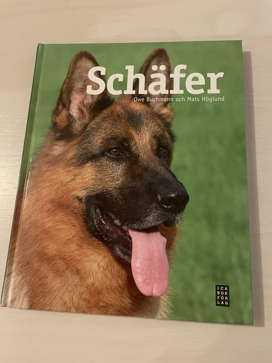 Owe Buchmann : Schäfer