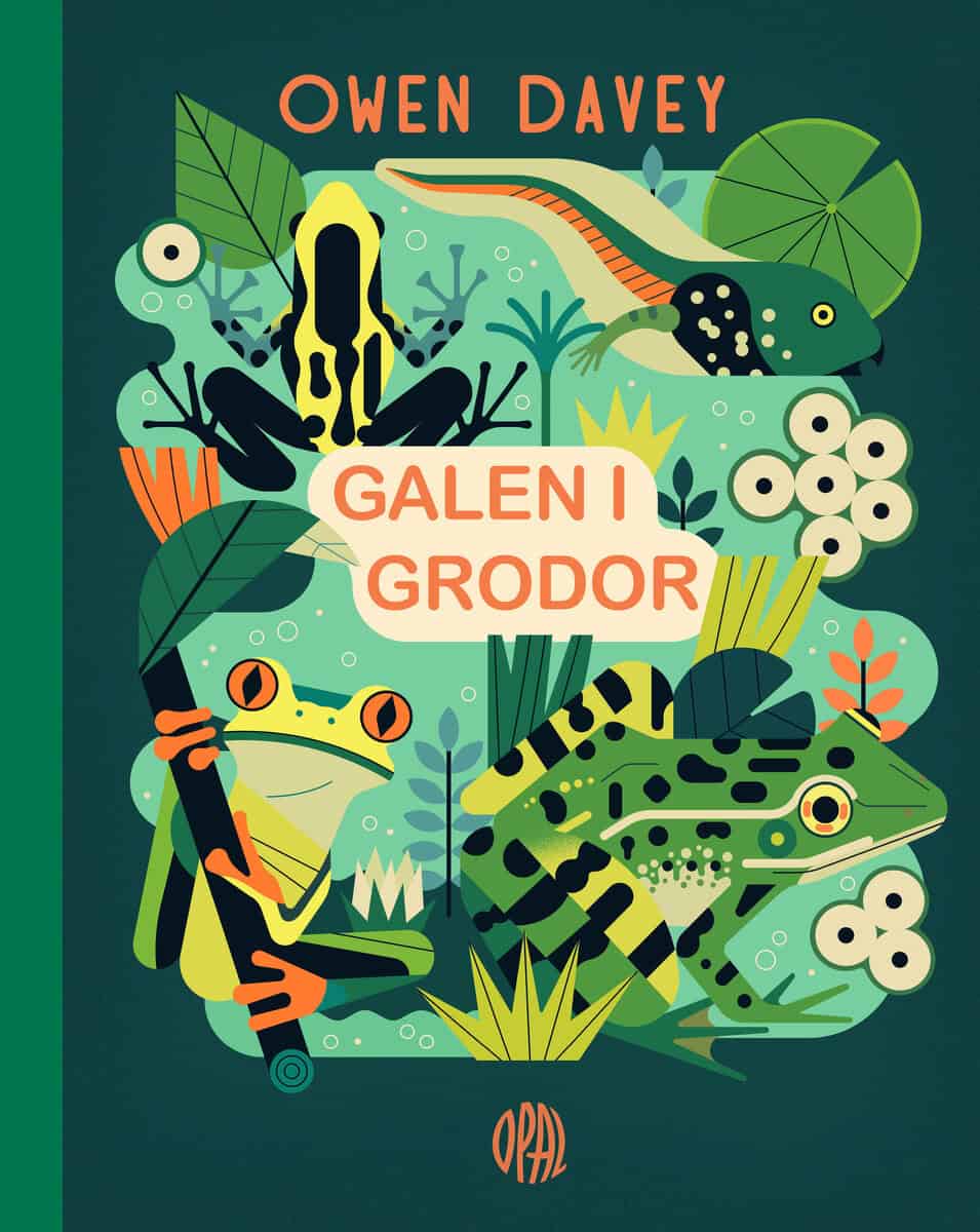Owen Davey : Galen i grodor